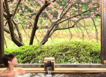 温泉家・北出恭子おすすめ！桜と一緒に楽しもう！九州のお花見温泉