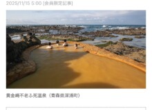 JR東日本びゅうツーリズム&セールスの「びゅうたび」で取材、執筆をしました！